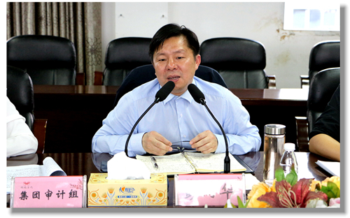 集團(tuán)黨委委員、紀(jì)委書記彭向華強(qiáng)調(diào)審計(jì)整改工作要深挖思想根源(圖2)