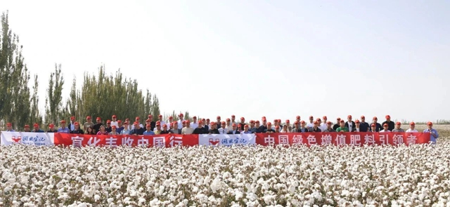 宜化豐收中國行！新疆棉花大型測產(chǎn)觀摩會成功舉行(圖1)